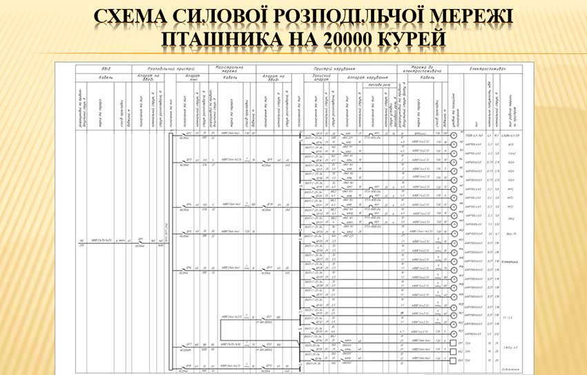 zahist ai ee 08